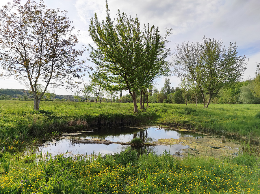 Tata fedezd fel velünk